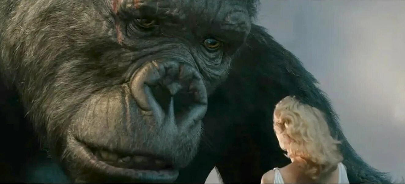 Кинг конг какого года вышел. Кинг конг в реальности. Кинг-конг жив 1986. Кинг конг первый фильм 2005. Кинг конг 1933 2005.