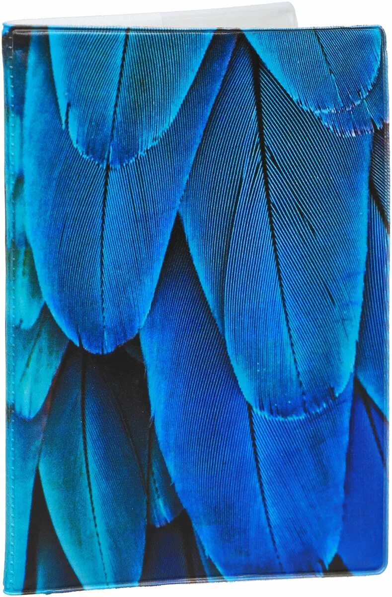 vogel veren bacterien Google zoeken Feather wallpaper, Blue feather, Feather t