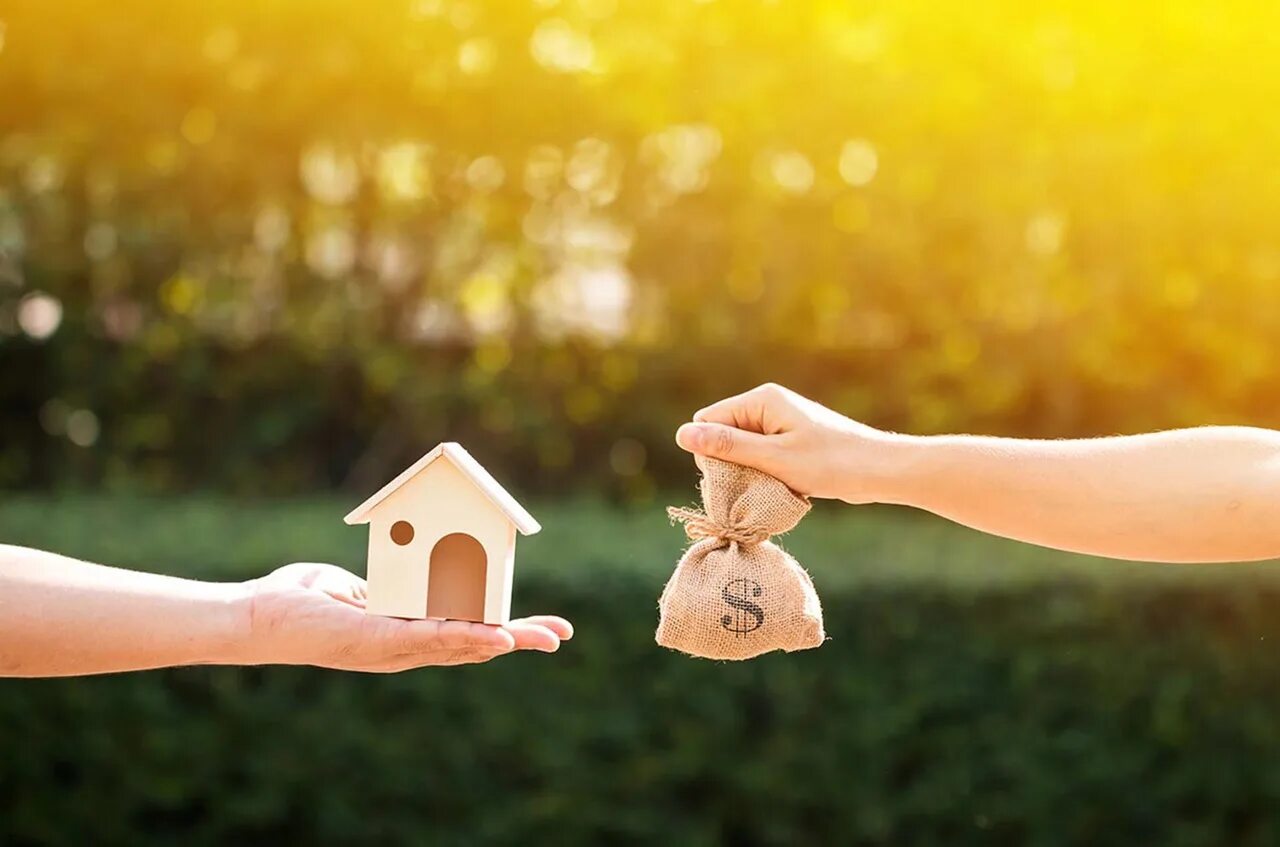 Земельные участки для многодетных семей. Деньги за земельный участок. Деньги за землю многодетным. Земельный участок. Многодетная семья.