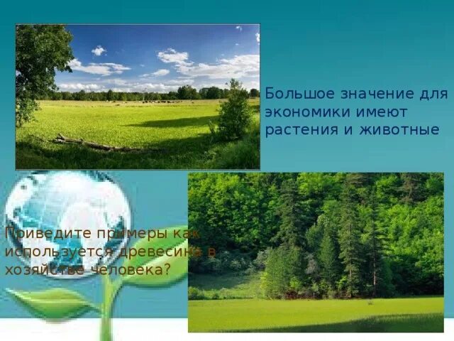 География Тюменской области - презентация онлайн