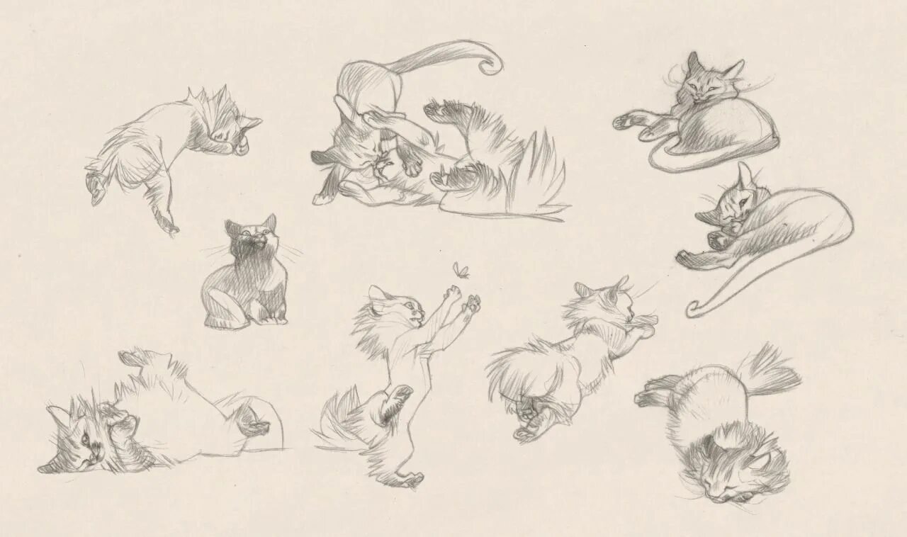 Cats tutorials