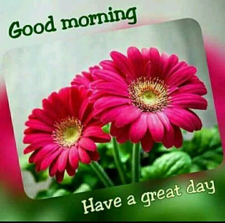 Good day for three. Good morning have a good day. открытка have a wonderful day. have a wonderful day картинки. good morning have a great day.