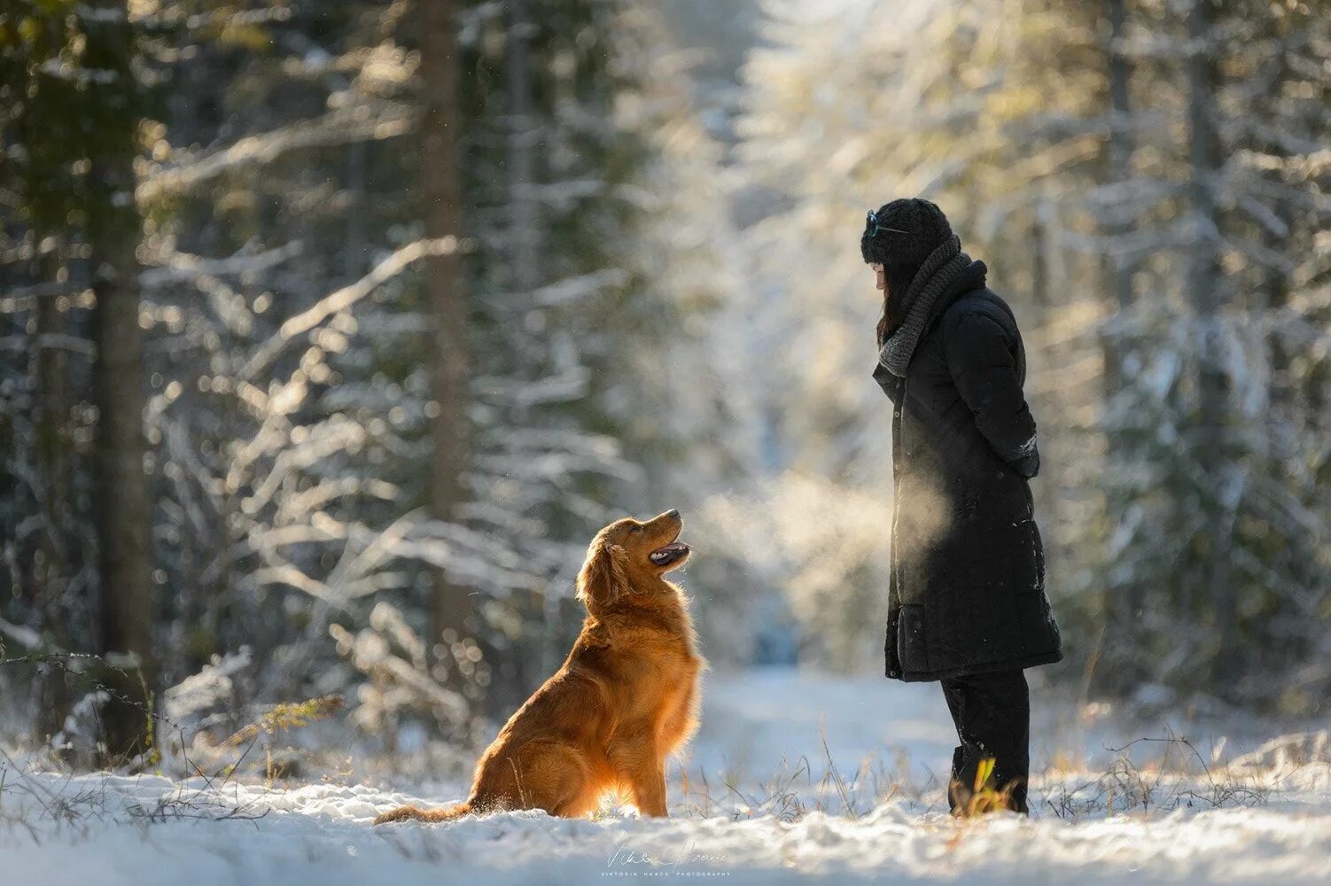 Собаки утром на улице. Прогулка с собакой зимой. Человек с собакой зимой. Прогулка в зимнем лесу. Человек в зимнем лесу.