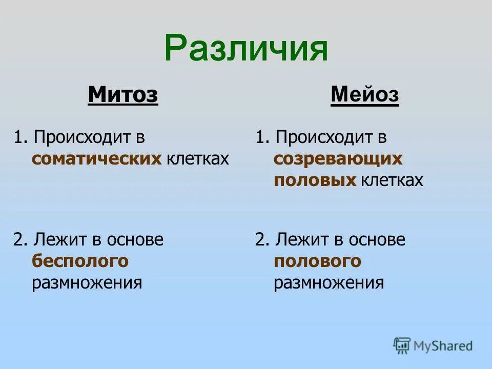 В результате митоза одна материнская клетка. Лежит в основе размножения митоз. Размножение митоз и мейоз. Митоз и мейоз бесполое размножение. Кто размножается мейозом.