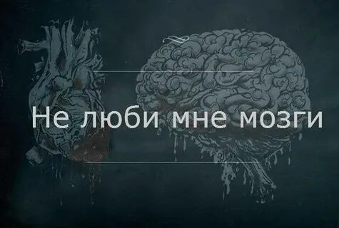 Имеет мозгов