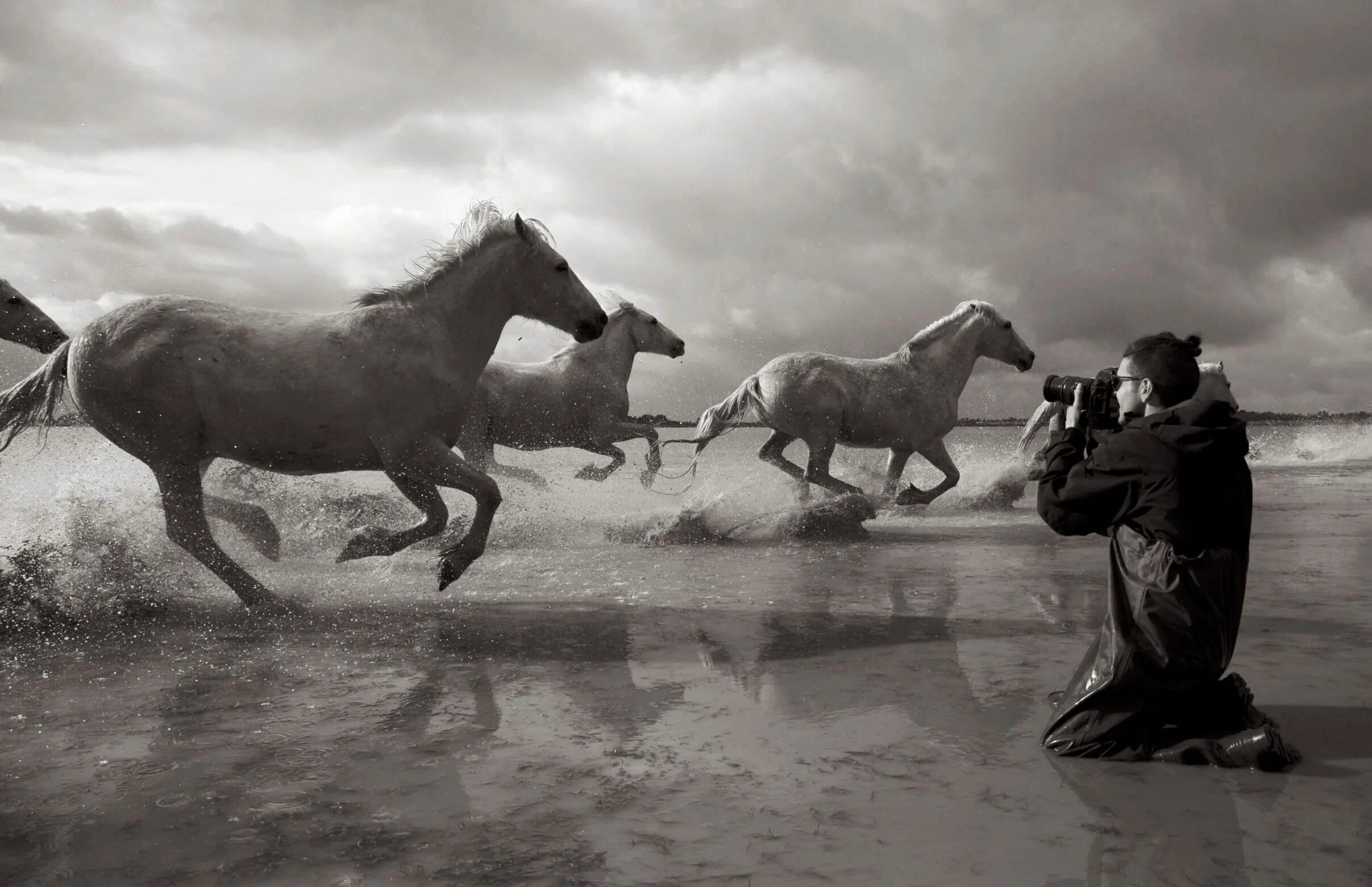 Дрю Доггетт лошади. Табун лошадей. Фотографы лошадей. Лошадь на скаку.