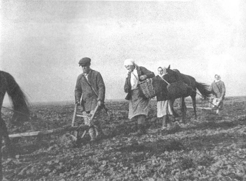 Крестьяне в поле 19 век. Труд крестьян. Крепостные крестьяне в поле. Крестьяне на посевной. Принудительный труд на помещичьей земле это