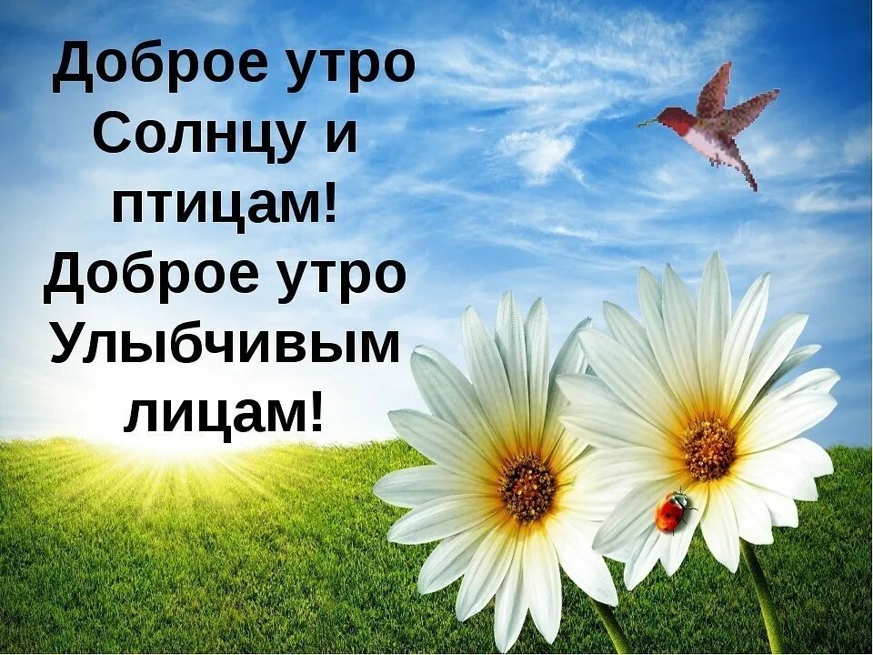 Доброе солнечное утро. Доброе утро солнце. Доброе утро солнцу и птицам. Доброе утро солнцу и птицам доброе утро улыбчивым лицам.