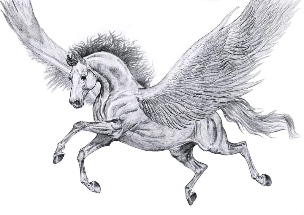 Пегас карандашом. Пегас карандашом. Рисовать пегаса. Пегасы карандашом мультяшные. Пегас рисунок.