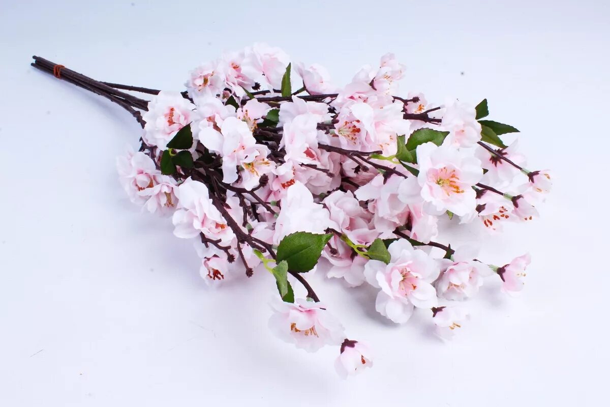 Cherry blossom купить. Цветы Сакуры Геншин. 72200 Сакура. Тайцзи цветы Сакура. Sakura ветка.