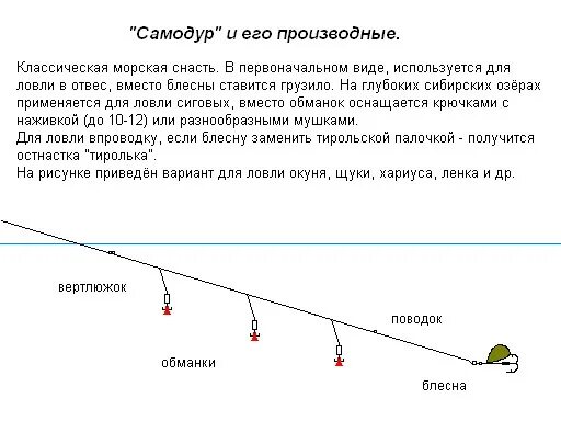 Самодур схема снасти. Схема снасти самодур с берега. Снасть для ловли ставриды в черном море с берега. Рыболовная оснастка самодур.