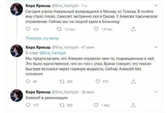 Кто такой навальный и за что умер. Ярмыш и Навальный.