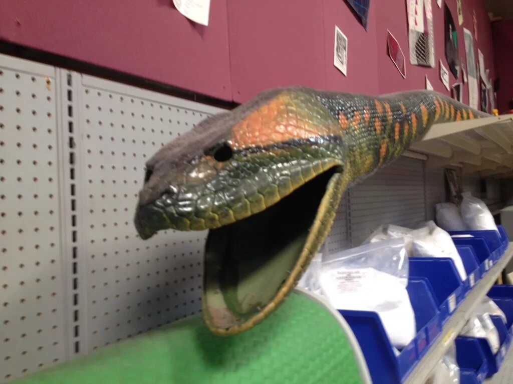 Wonder a see snake. Wonder a see snake