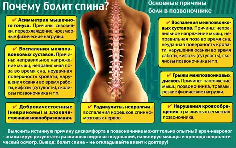 Что значит спины