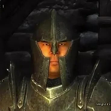 Обливион стражник. Обливион стражники. Oblivion имперский легион. Имперская стража обливион. Обливион стражник.