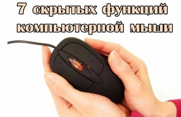 Функции мыши компьютера. Функции компьютерной мыши. функции кнопок мыши компьютера. функции компьютерной мышки. компьютерная мышь функции кнопок.