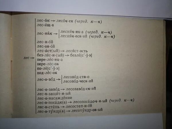 Словообразовательное гнездо. Словообразовательное гнездо слова. Слоовообразовательноегнездо. Словообразовательное гнездо ckjdj.