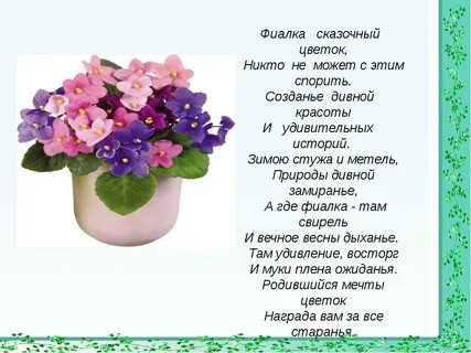 Фиалка расцвела песня