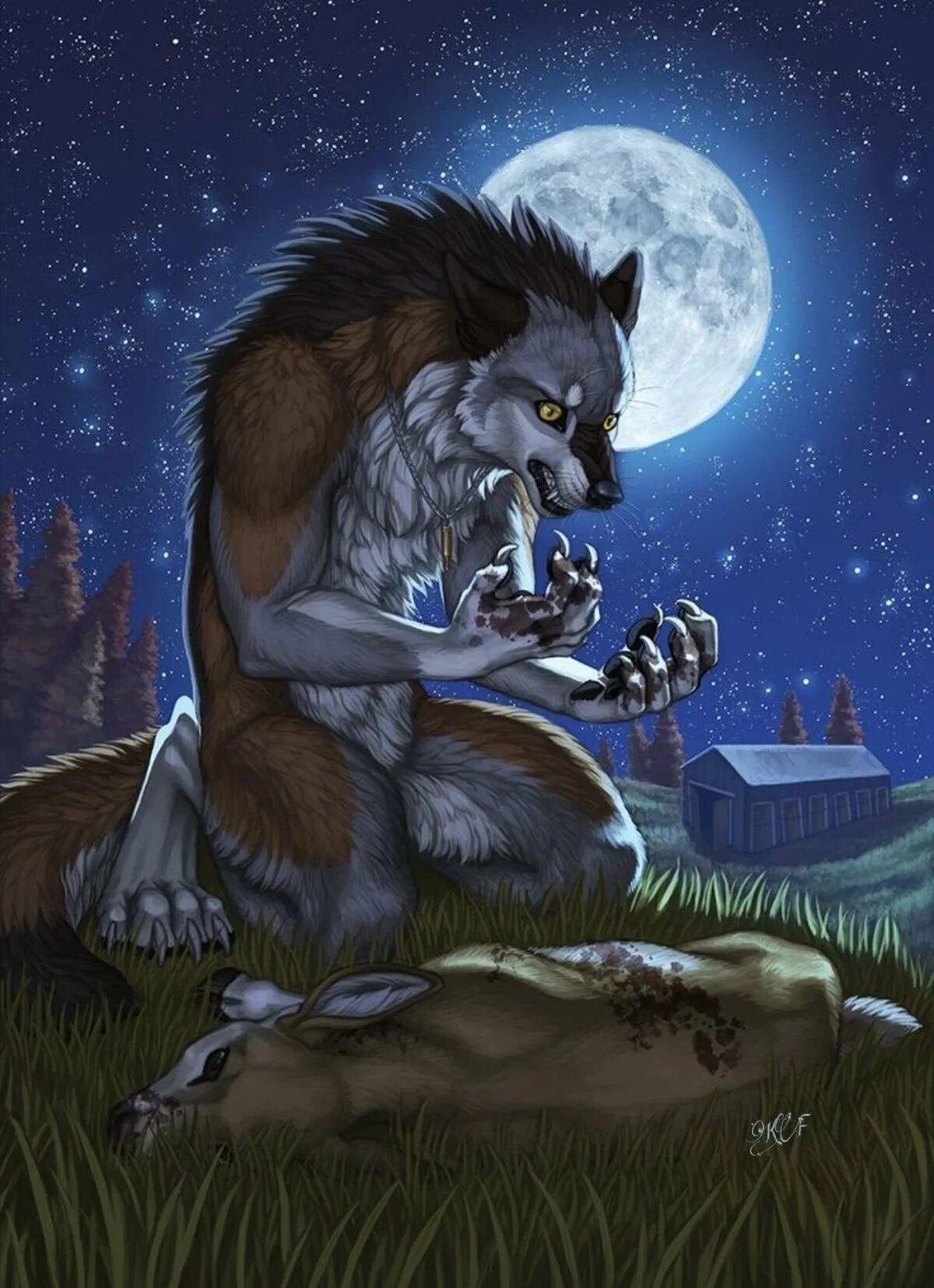 Есть добрые волки. Вольф Вольф человек волк. Вервольф волк. «Оборотень - a Werewolf boy» АРИМЕ. Волкодлак оборотень Вервольф.