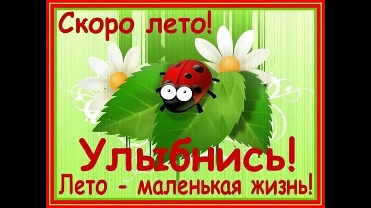 Открытки холодное лето. Короткие видео лето. Открытки с холодным летом. Плейкаст лето. Скоро лето надпись.