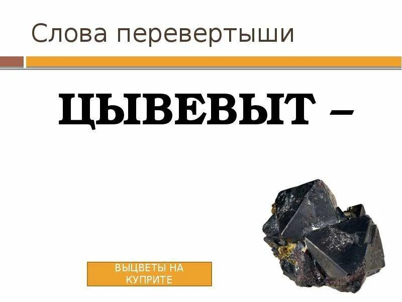 Перевертыш девять букв. Перевертыш девять букв
