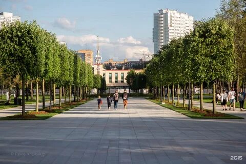 Проспект парки