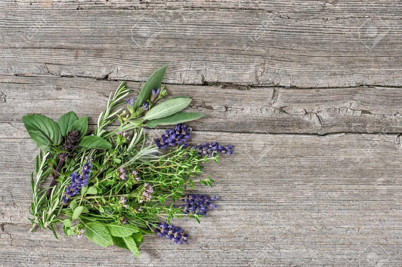 Мята лаванда. Мята лаванда. Мята лавандовая. Мята чабрец шалфей. Мелкие фиолетовые полевые цветы.