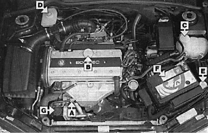 Моторный отсек Опель Вектра с 2.2. Опель Вектра б 1.6 под капотом. Опель Вектра с 2.2 аккумулятор. Opel Vectra b датчики двигателя. Опель вектра б топливо