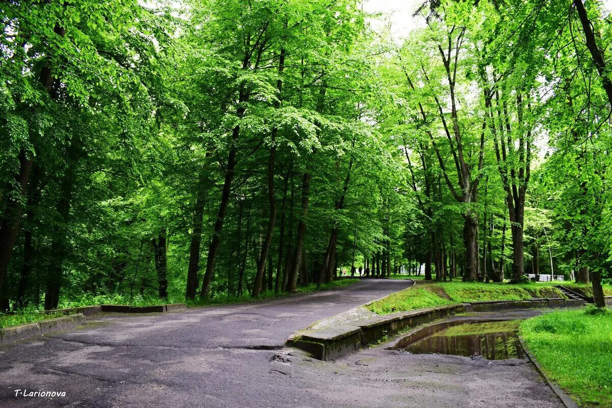 Белоруссия парк. Беларусь парк. Суворовский парк в москве. Известный парк в белоруссии фото. Княжество сула беларусь.
