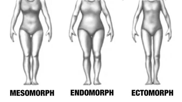 Как выглядит сиповка. Типы фигуры мезоморф эктоморф. Астеник (эктоморф). Типы телосложения у женщин. Эктоморф мезоморф и эндоморф женщины.