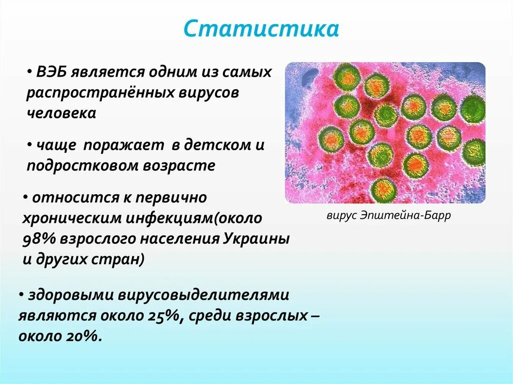 Вирус Эпштейна-Барр структура. Вирус Эпштейна-Барра симптомы.