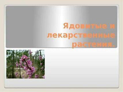 Лекарственные и ядовитые растения