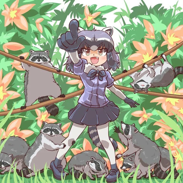 Kemono post. Kemono friends Ракун. Kemono friends лазурники. Kemono friends Raccoon.