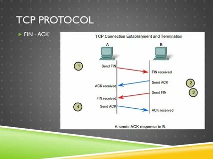 Протокол tcp transmission control protocol