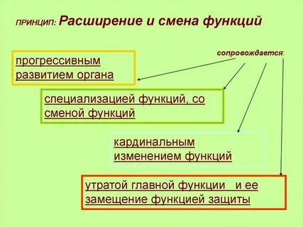 Функция это изменение системы