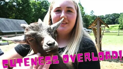 Throat goat перевод