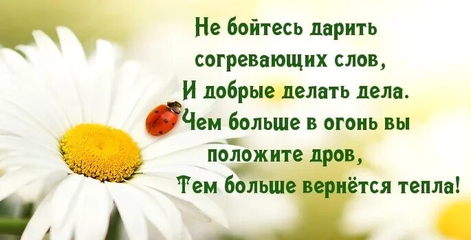 Не бойтесь дарить согревающих слов и добрые. Не бойтесь дарить согревающих слов и добрые делать дела.