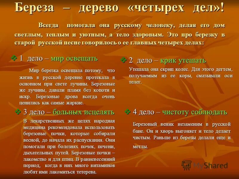 нарисовать дерево. береза дерево четырех дел. береза повислая betula pendula roth. дерево 4 дел. четвертое дело березы.