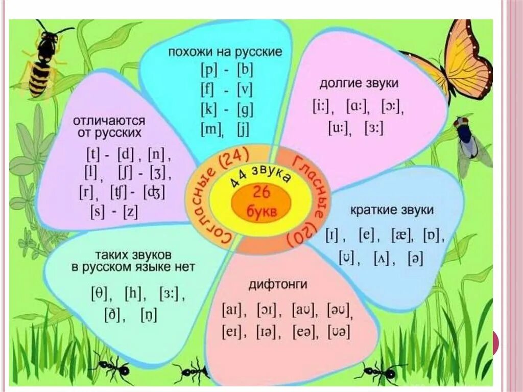 Фонетика английских звуков. Таблица звуков английского языка фонетика. учить звуки английского языка 2 класс. 2 класс произношение фонетика английского. произношение звуков в английском языке для детей 1 класса.