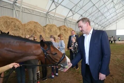 Лошади архангельская область