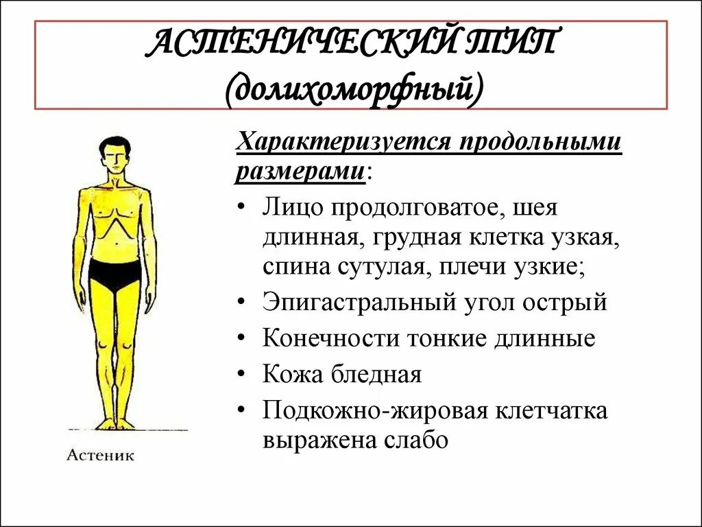 Типы Конституции тела человека астеник. Типы телосложения астенический нормостенический и гиперстенический. Для астенического типа Конституции характерны. Астенический Тип телосложения у мужчин.