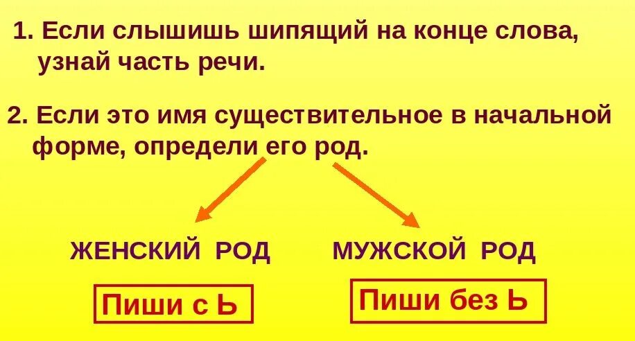 Ь после шипящих на конце имен существительных. Мягкий знак на конце имен существительных после шипящих. Мягкий знак (ь) после шипящих на конце имён существительных.. Имя существительное с шипящими на конце. Неправда синоним с шипящим