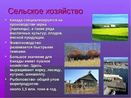 Сша дайте характеристику хозяйственной деятельности населения страны. Население хоз. Естественный прирост сша на 1000 жителей. Сша дайте характеристику хозяйственной деятельности населения страны. Естественный прирост сша.