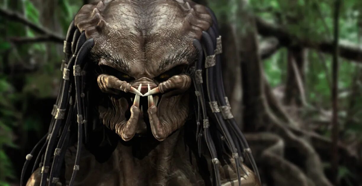 Число хищника. Модель взаимодействия хищник жертва. Динамика численности популяции хищника и жертвы. Биологическая модель хищник-жертва в электронных таблицах. Модель системы хищник жертва.