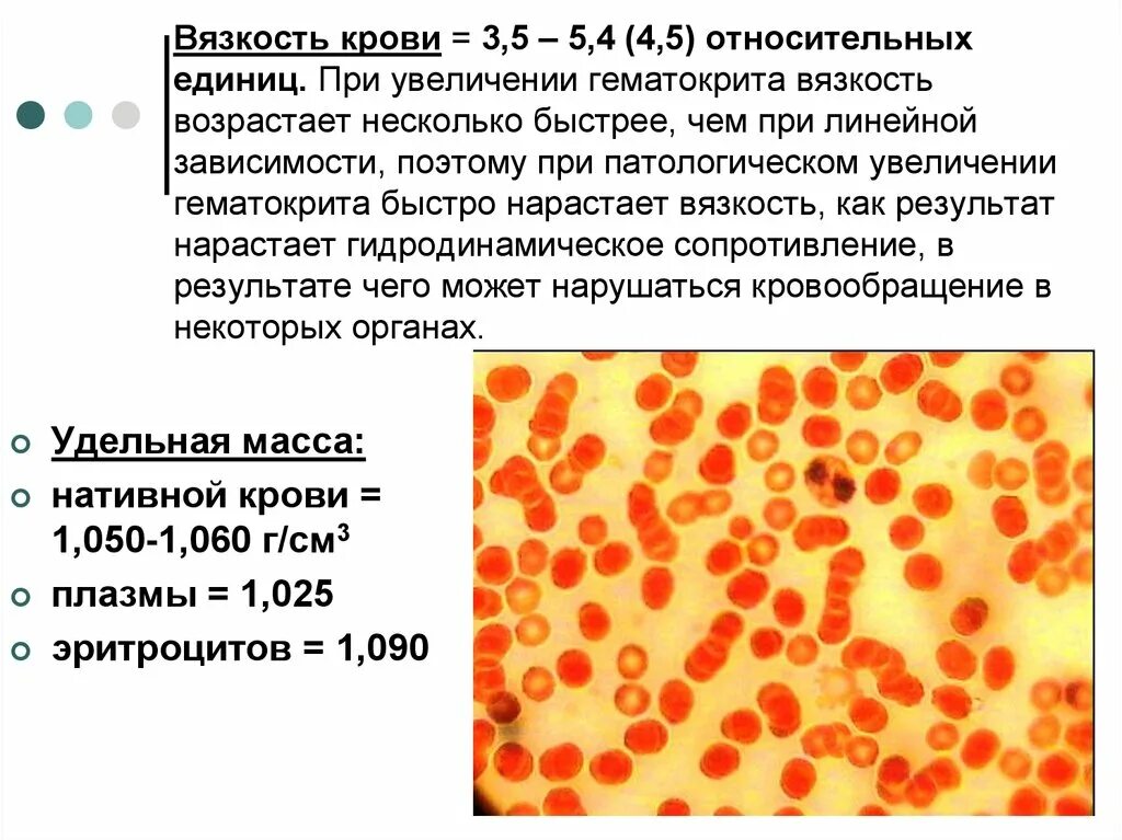 Количество эритроцитов в литре