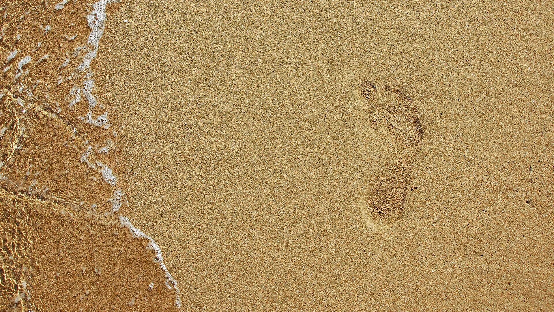 Sandcastles галвестон. Текстура песка бесшовная. Песок текстура. Мокрый песок. Песок текстура.
