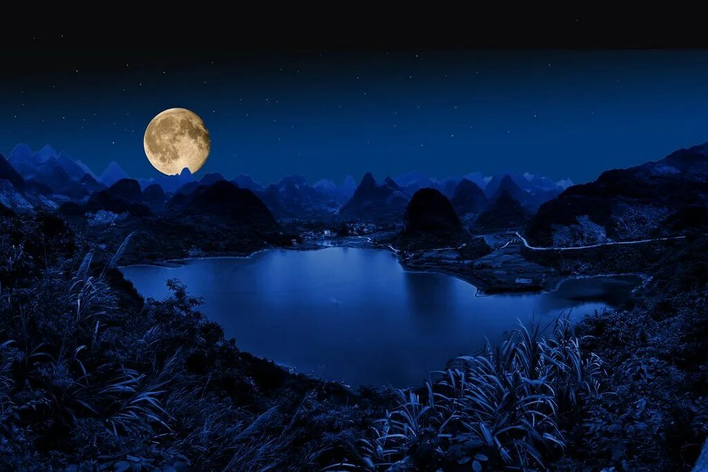 Полнолуние каждые. Лунный пейзаж. Озеро при лунном свете. Джунгли ночью. Лунное озеро.