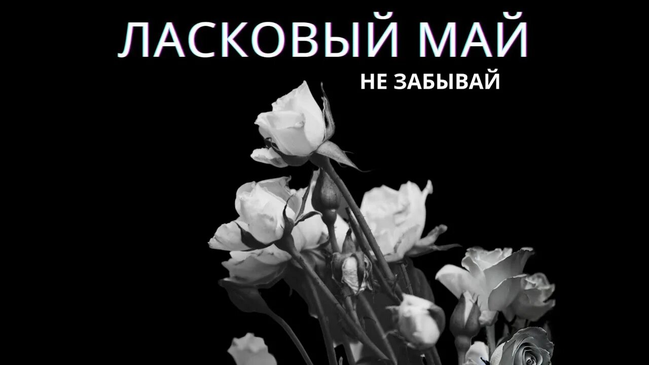 Концерт ласковый май 2007. Дядя Миша ласковый май караоке. Ласковый май не забывай Автор. Песня забудь ласковый май