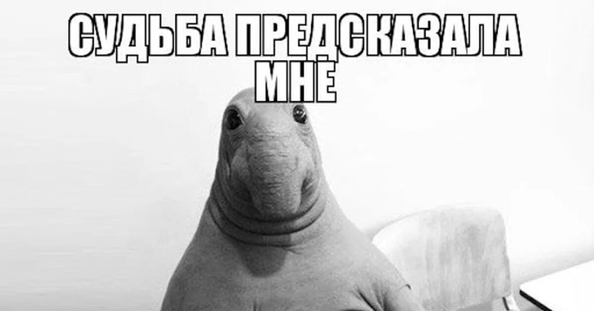 Не хочу идти к психологу. Пора к психологу. не пойду к психологу само пройдет. справлюсь сама.