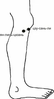 В ту точку